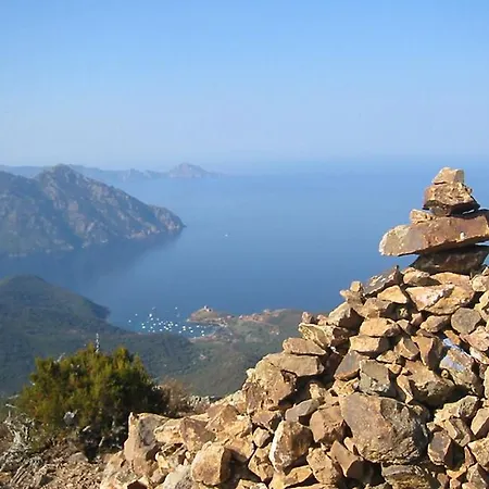 Fior Di Macchia 1 *